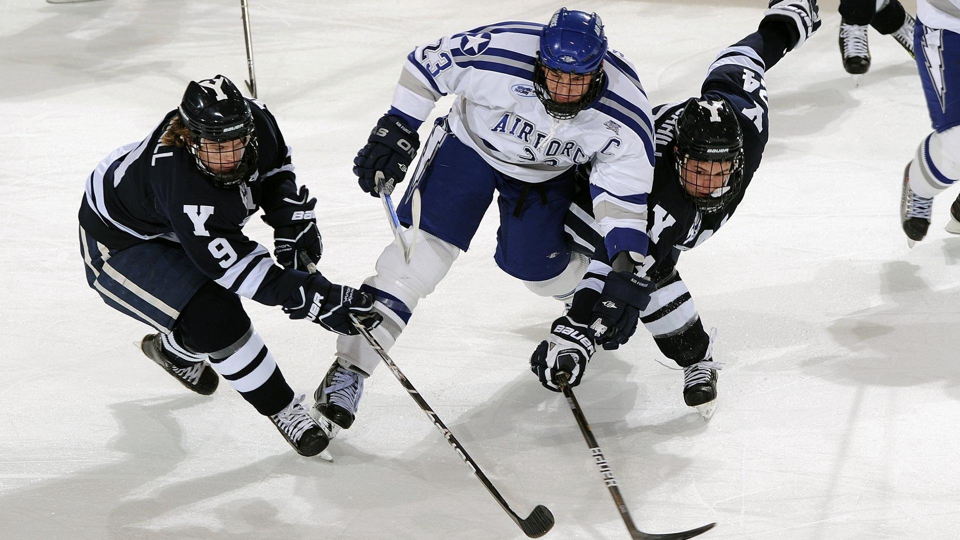 体育赛事主办方推出票价优惠政策扩大观众群，体育比赛票务网站